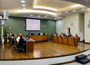 29ª Sessão Ordinária