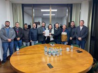 Reunião de Comissões