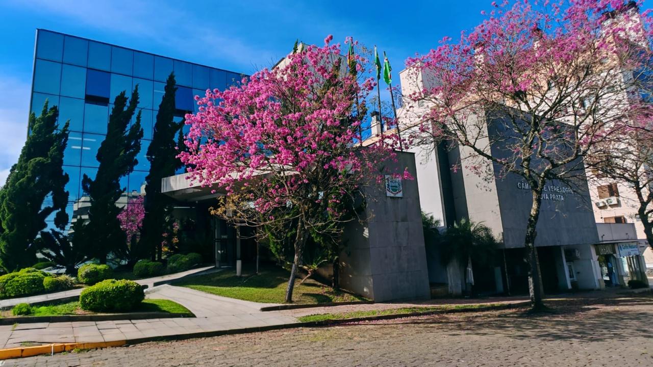 Reunião de Comissões